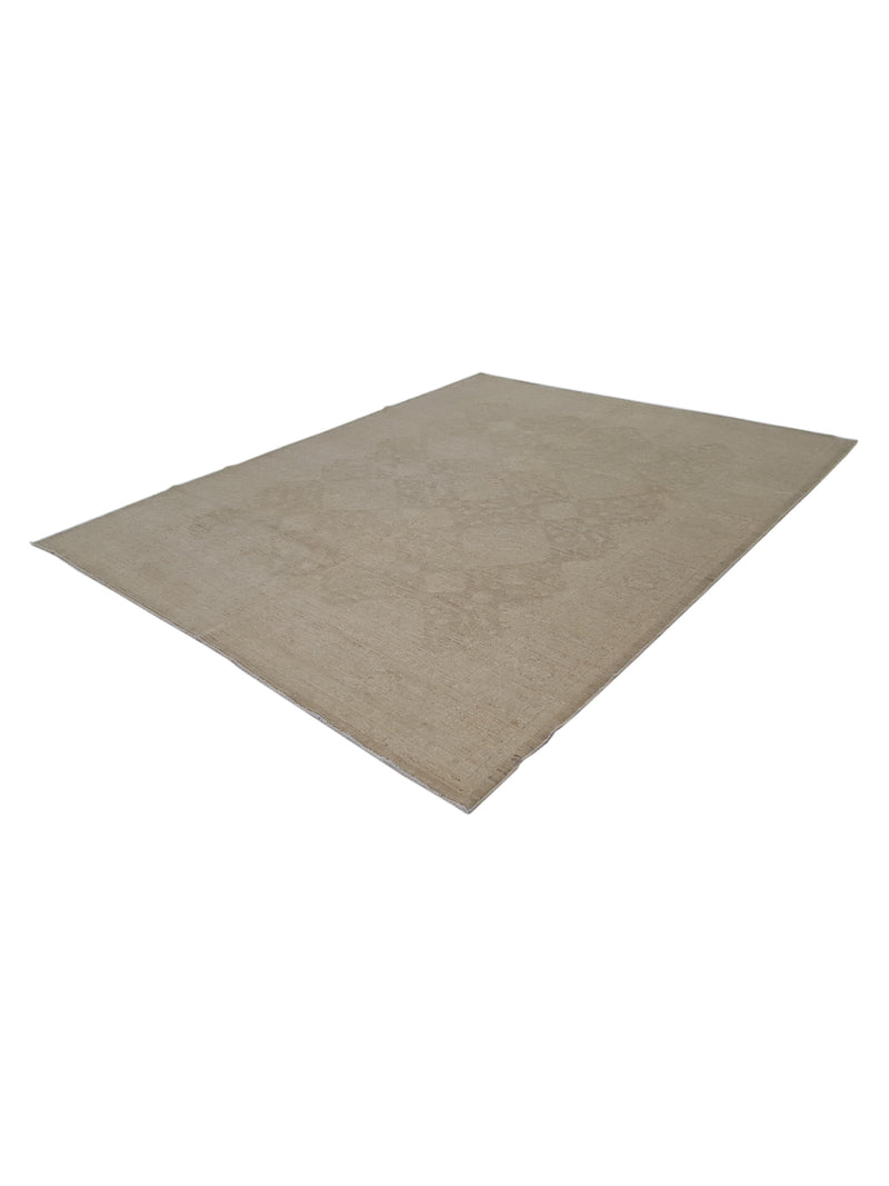 Pacific Tabriz-Pk 16649 Beige Beige Transitional Hand Knotted Rug