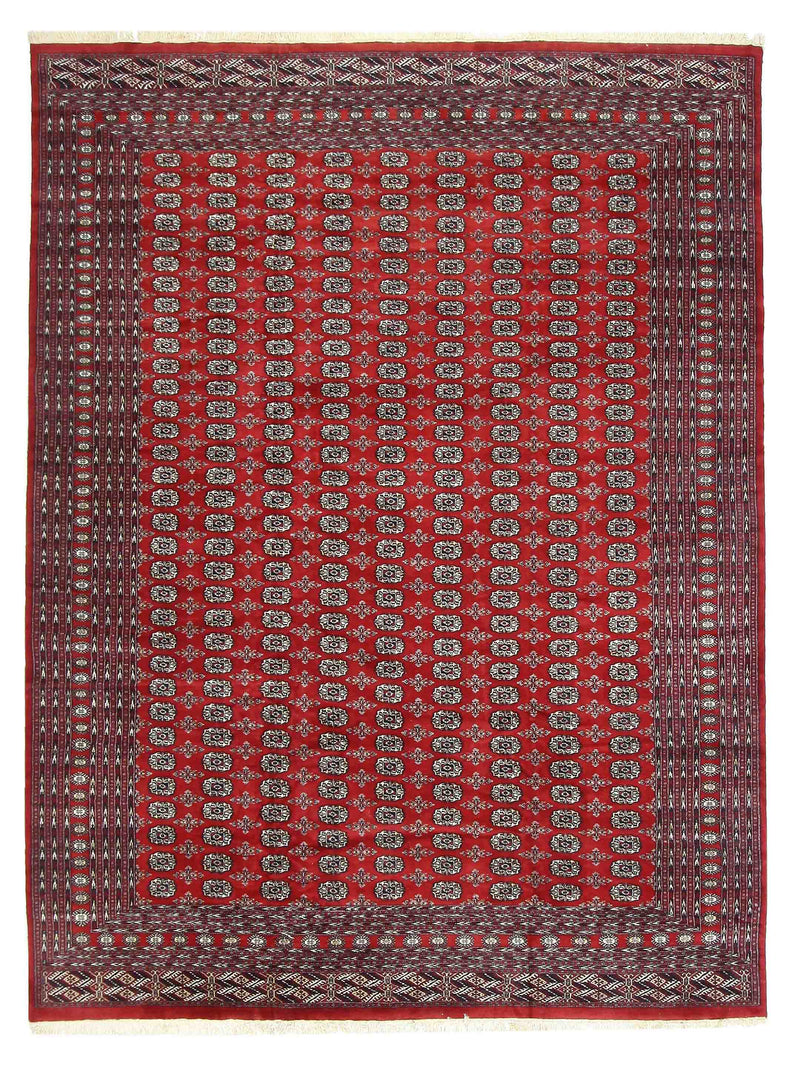 Pacific Bokhara Red Red Traditional