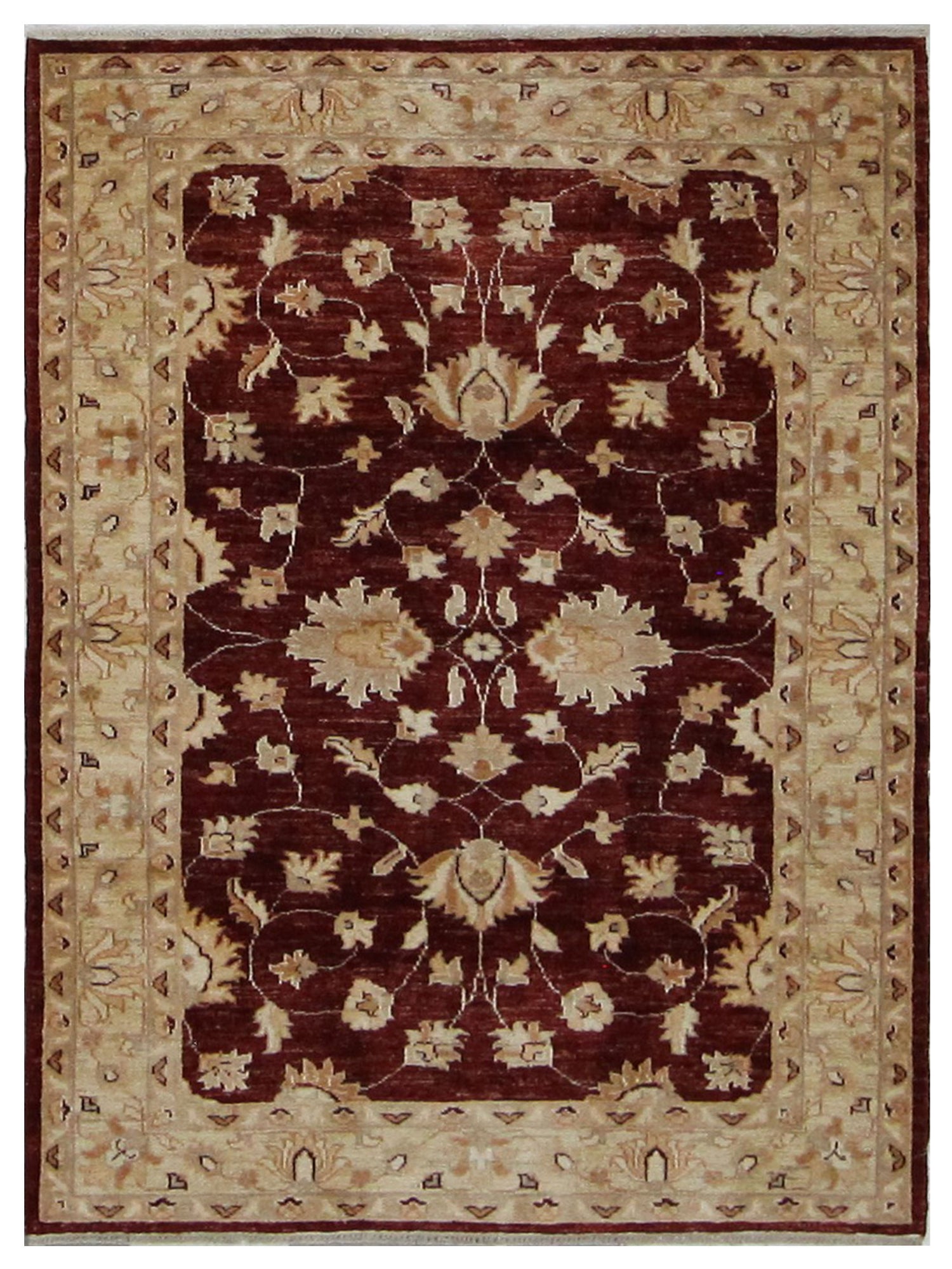 Pacific Ziegler Burgundy Beige Transitional