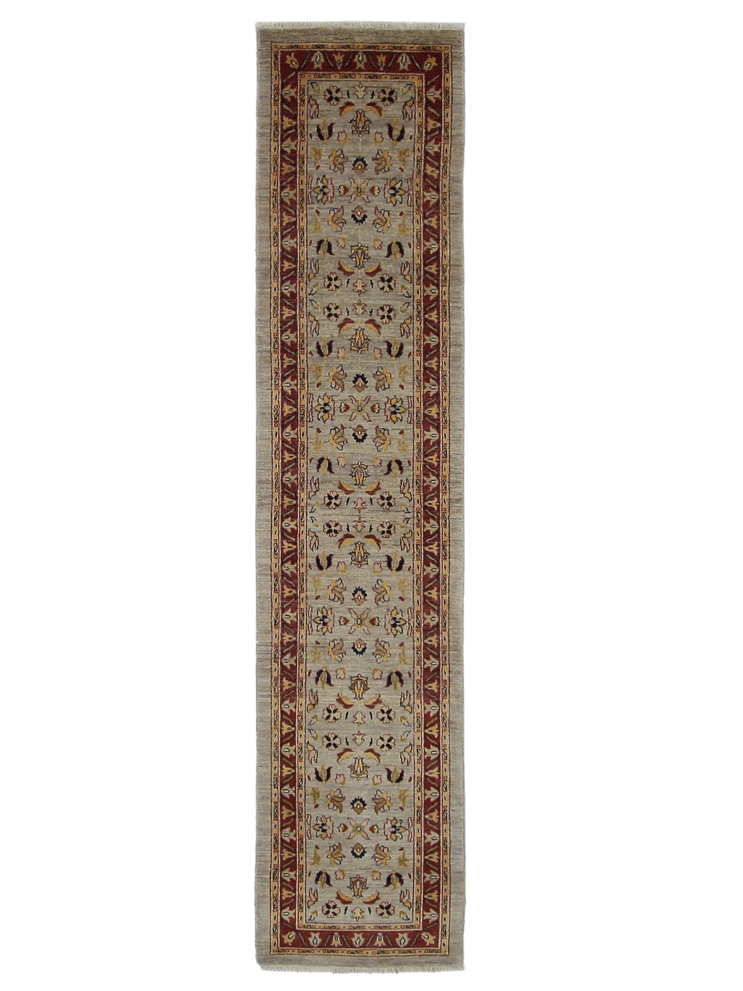 Pacific Ziegler Bone Red Transitional