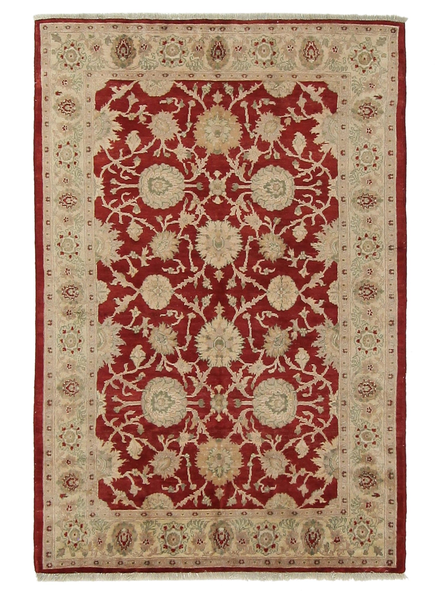 Pacific Ziegler Red Ivory Transitional