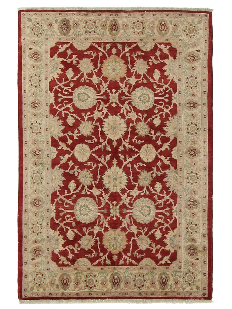Pacific Ziegler Red Ivory Transitional