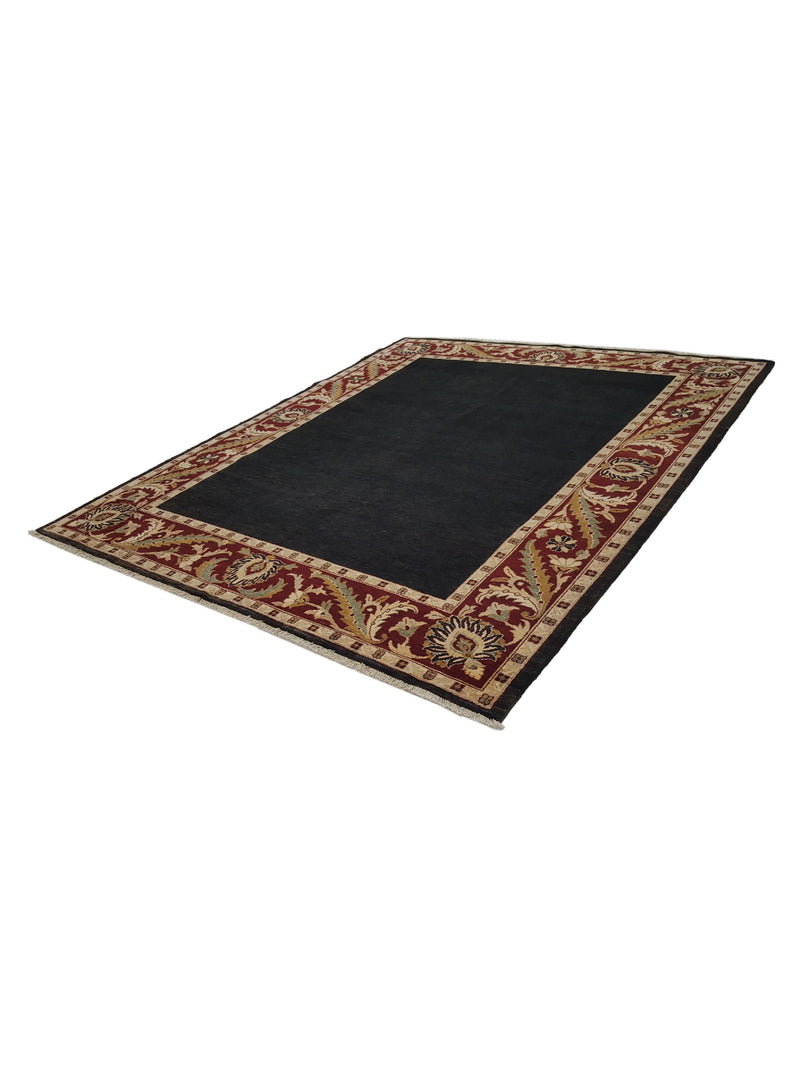 Pacific Ziegler 28097 Black Red Transitional Hand Knotted Rug