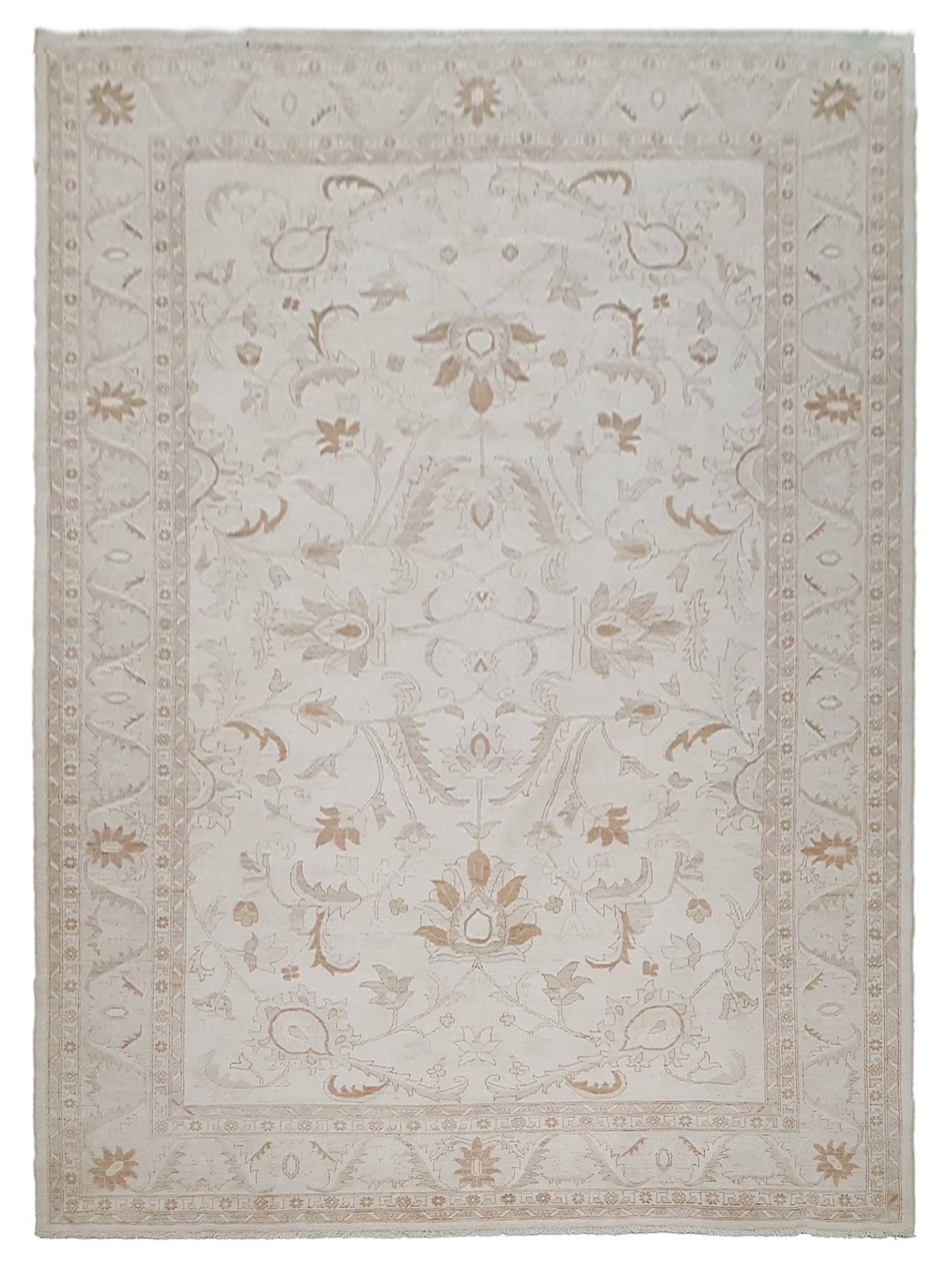 Pacific Ziegler Ivory Ivory Transitional