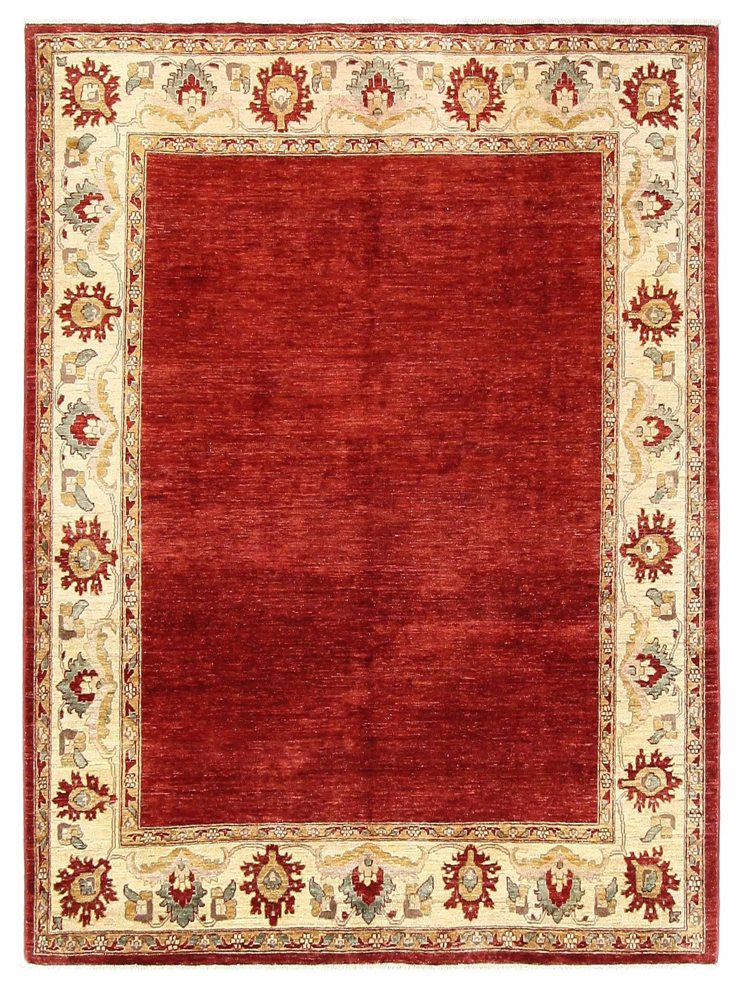 Pacific Ziegler Red Ivory Transitional