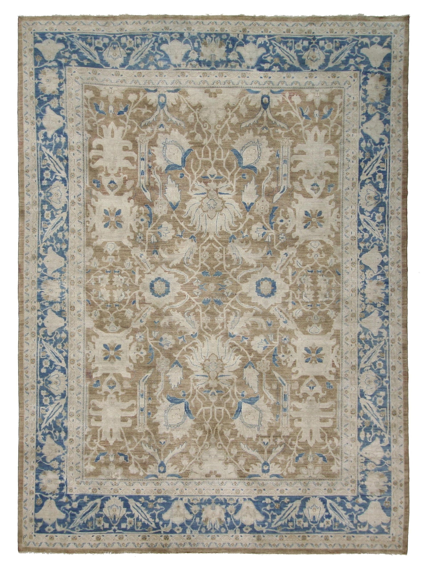 Pacific Ziegler Brown Blue Transitional