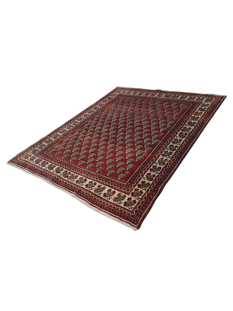 Pacific Bakhtiyari 35451 Red Ivory Traditional Hand Knotted Rug