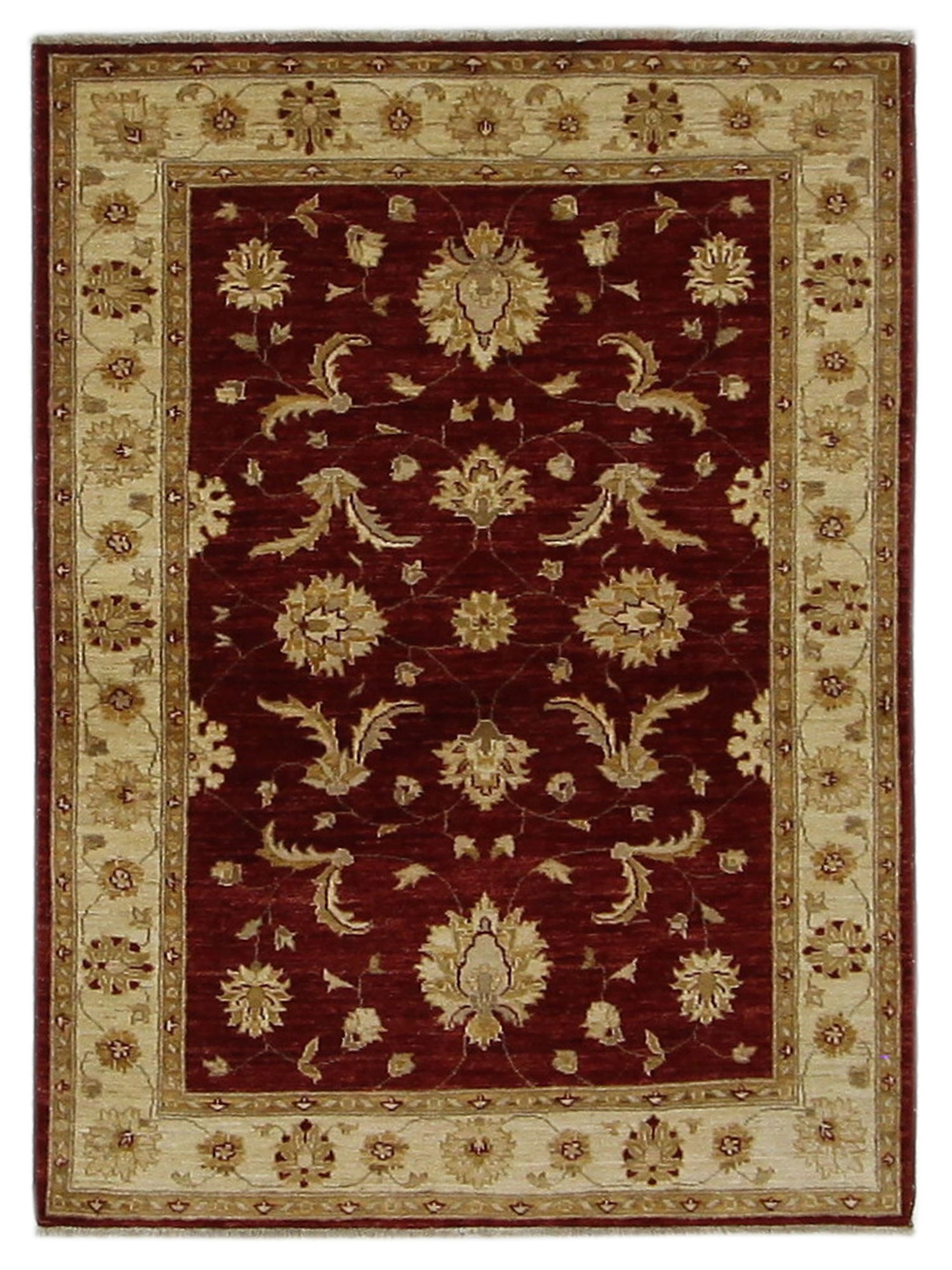 Pacific Ziegler Red Gold Transitional