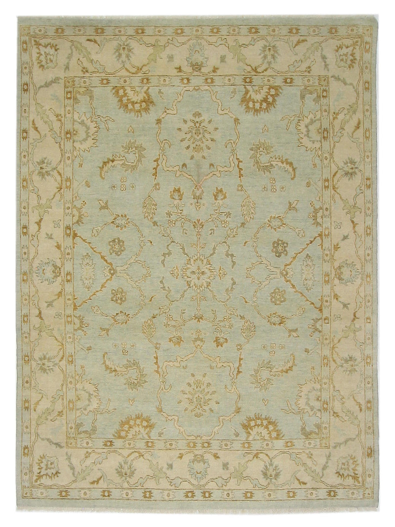 Pacific Angora Lt.Blue Cream Transitional