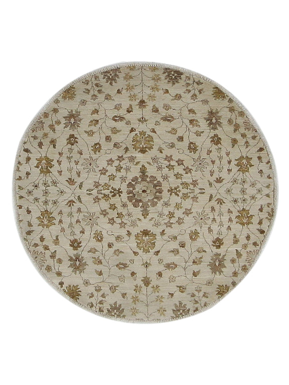 Pacific Ziegler  Ivory Ivory Transitional