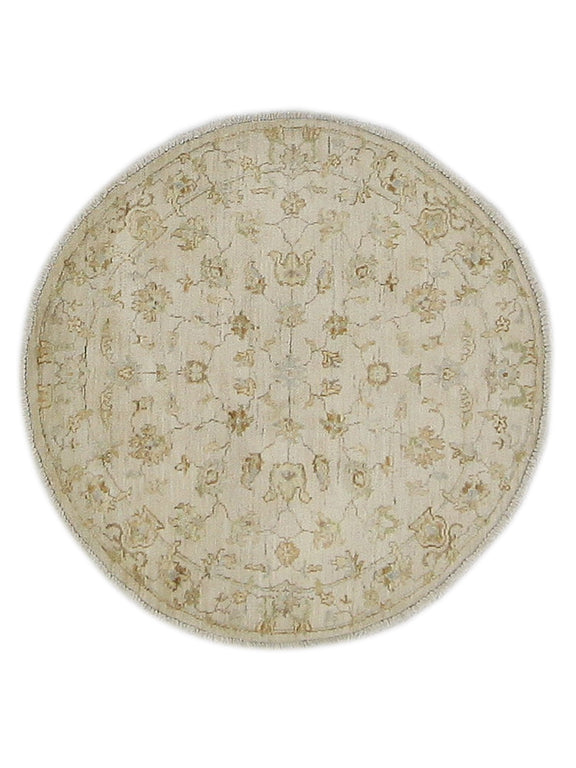Pacific Ziegler  Ivory Ivory Transitional