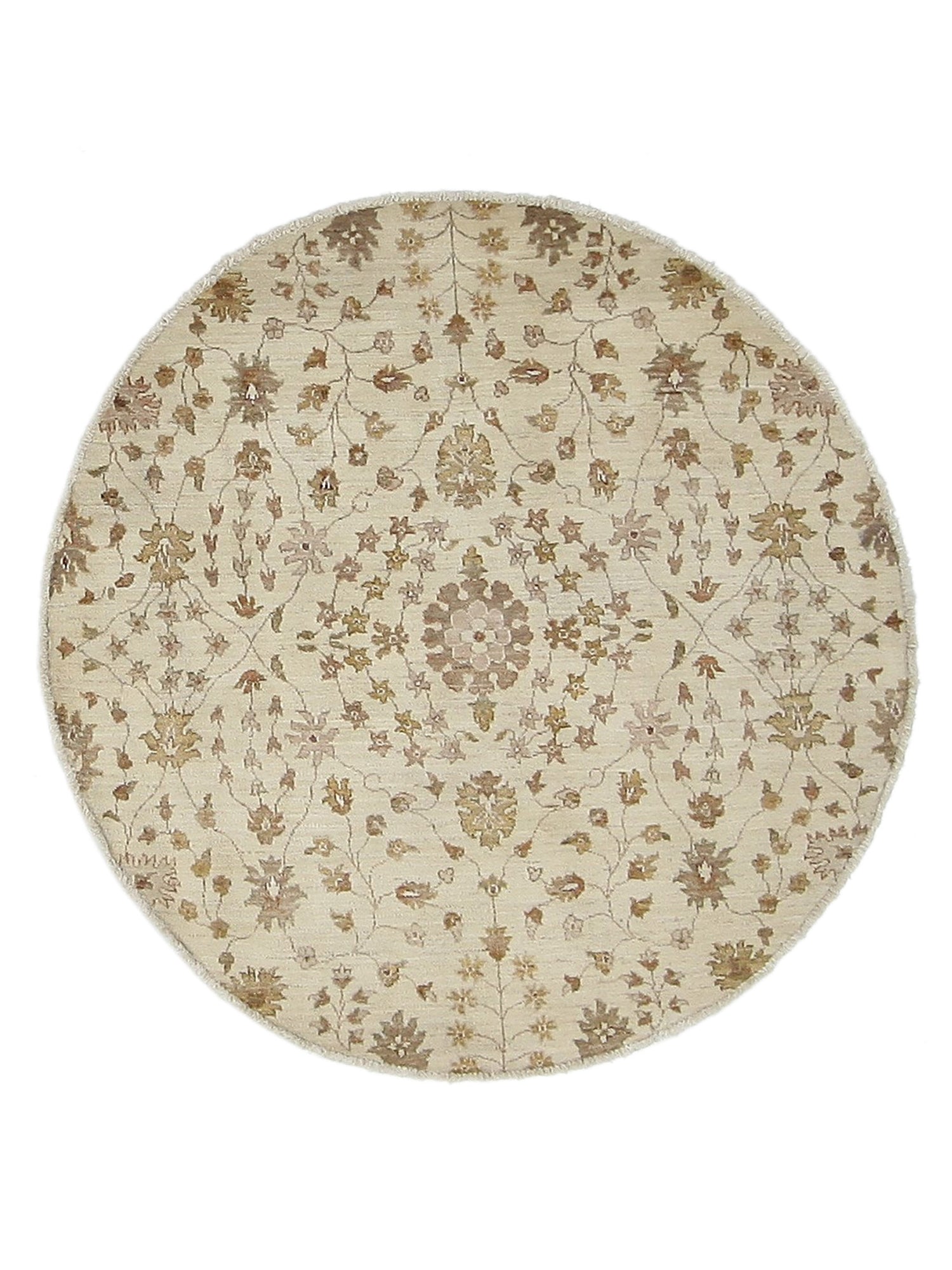 Pacific Ziegler Ivory Ivory Transitional