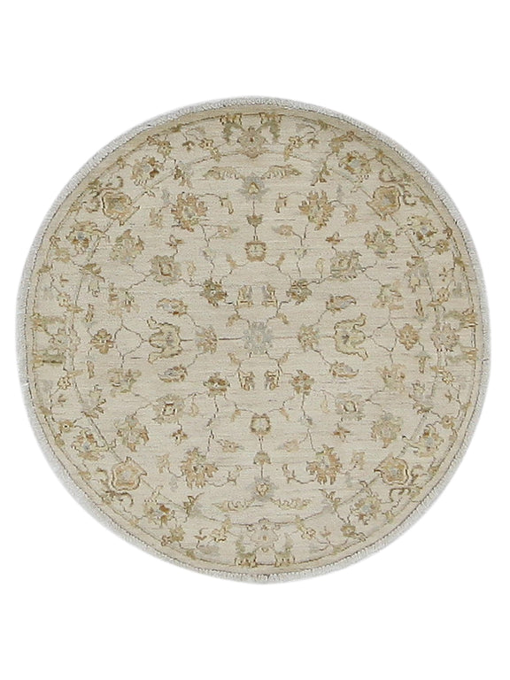Pacific Ziegler  Ivory Ivory Transitional