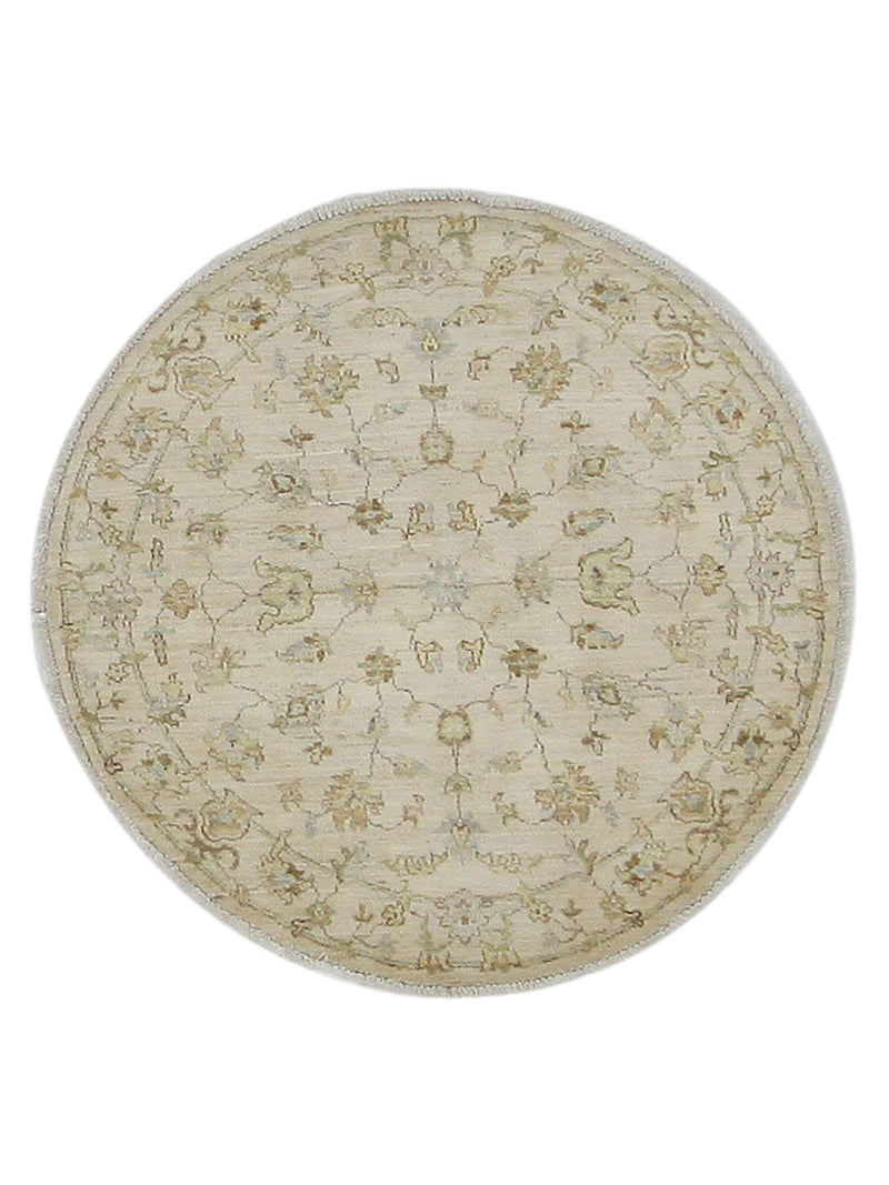 Pacific Ziegler  Ivory Ivory Transitional