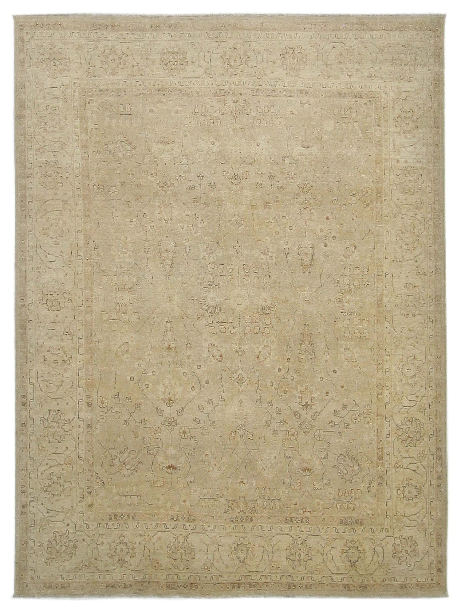 Pacific Ziegler Beige Ivory Transitional