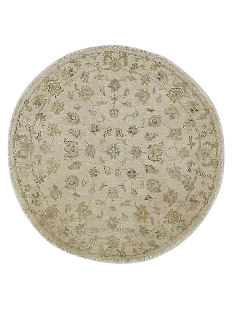 Pacific Ziegler Ivory Ivory Transitional