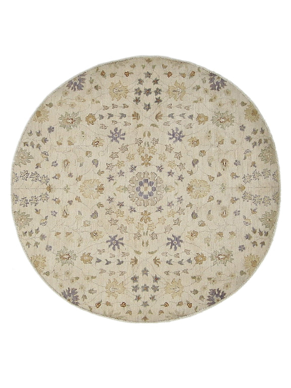 Pacific Ziegler  Ivory Ivory Transitional