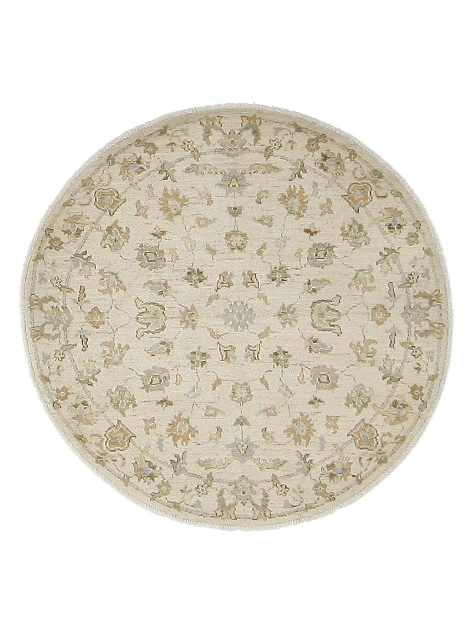 Pacific Ziegler Ivory Ivory Transitional