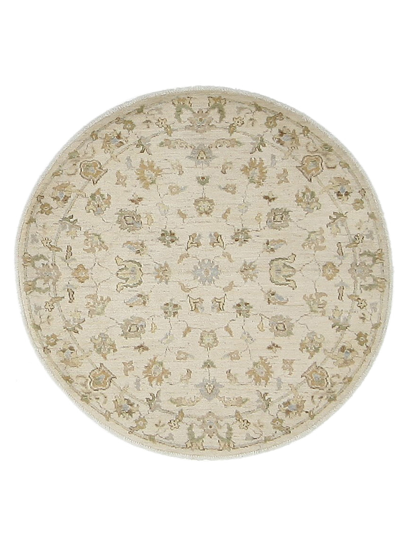 Pacific Ziegler Ivory Ivory Transitional