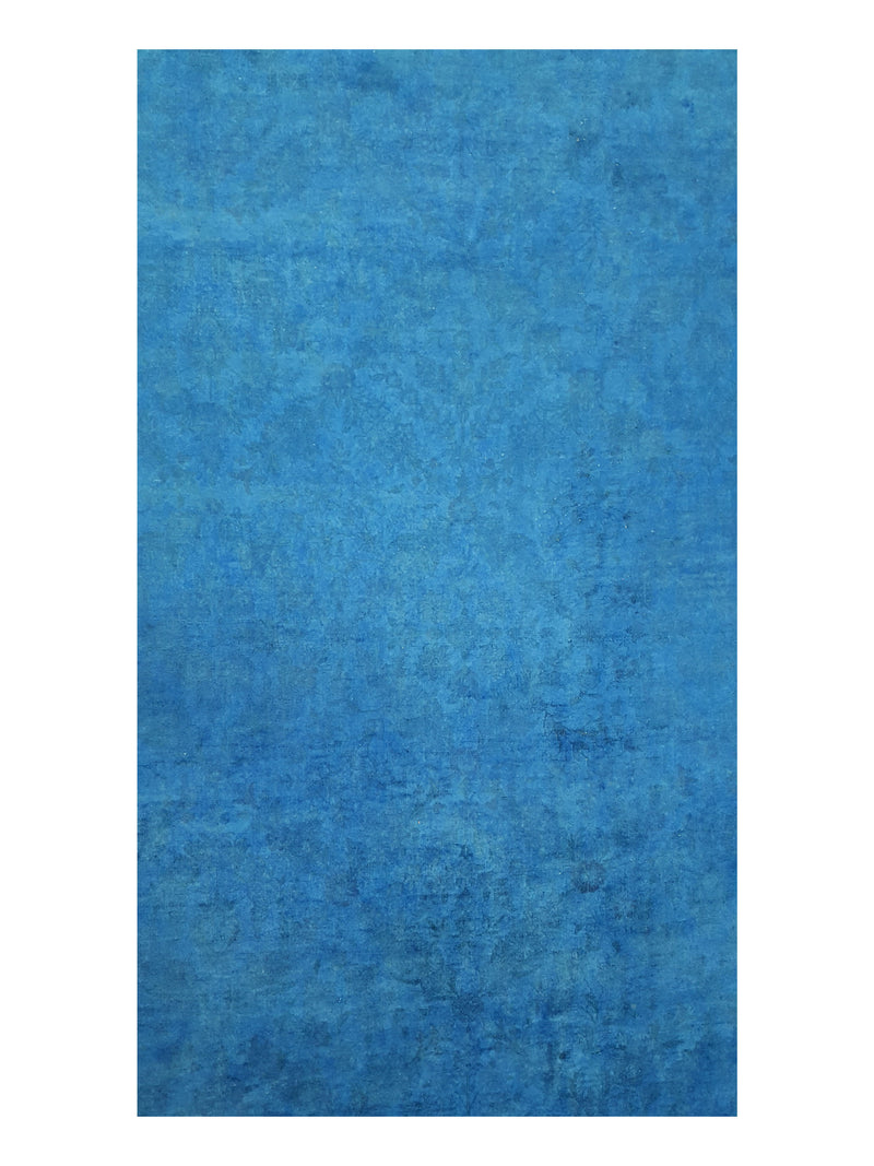 Pacific Classic 39610 Blue Blue Transitional Hand Knotted Rug