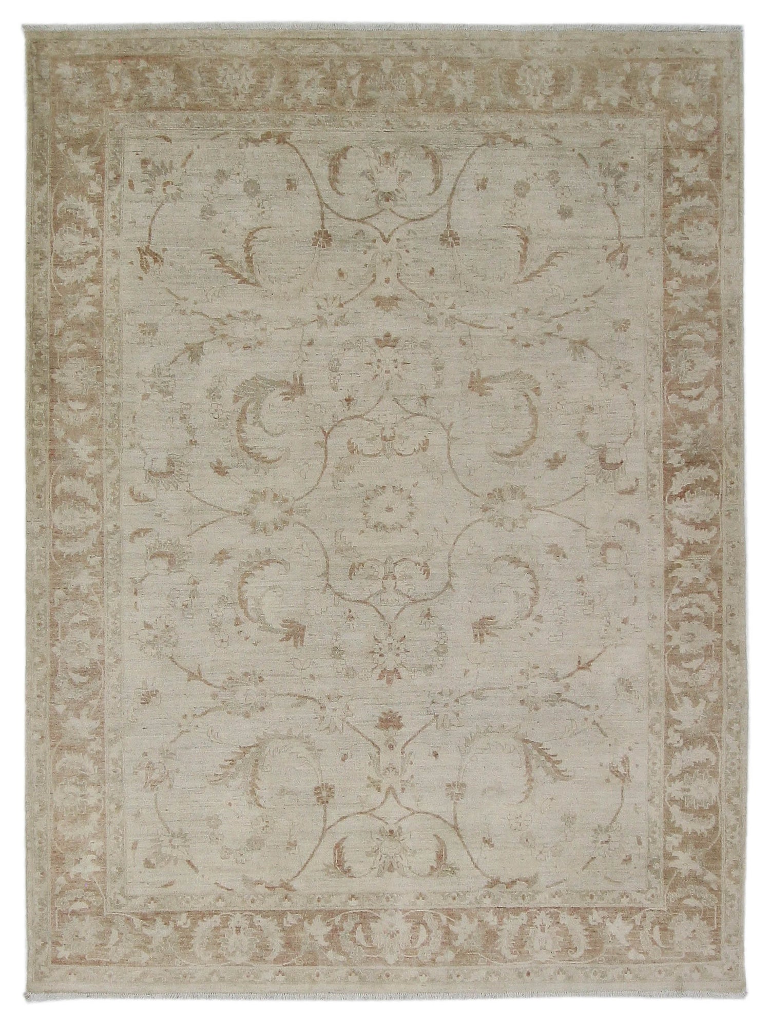 Pacific Ziegler Ivory Lt.Brown Transitional