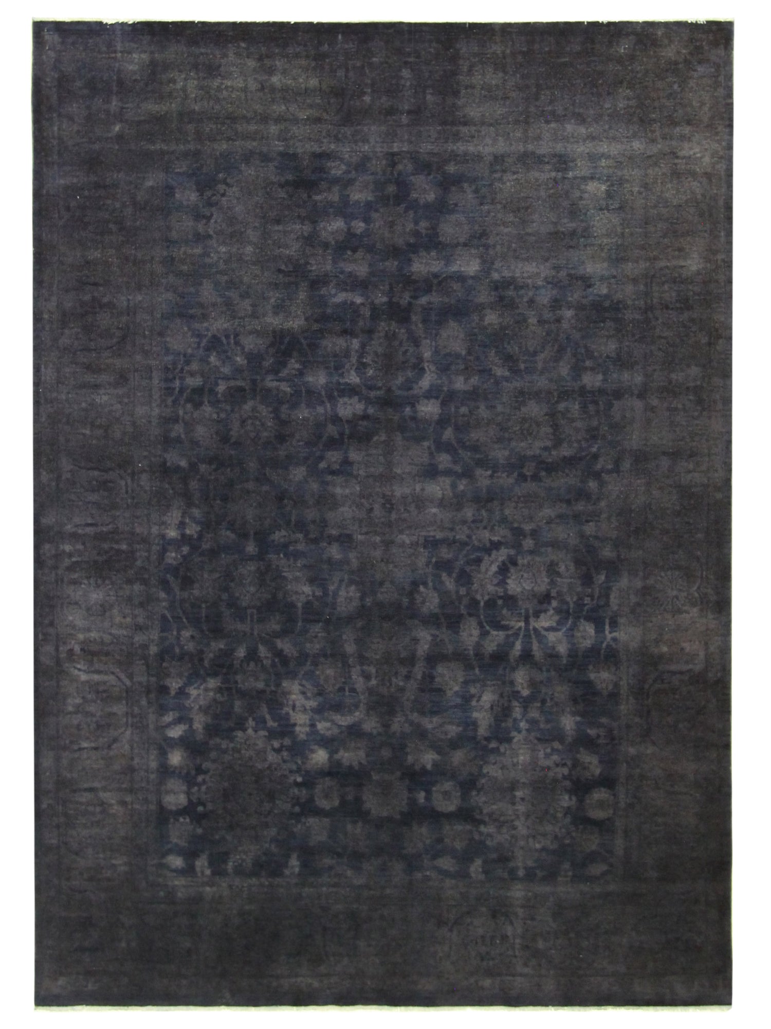 Pacific Ziegler Lilac Lilac Transitional