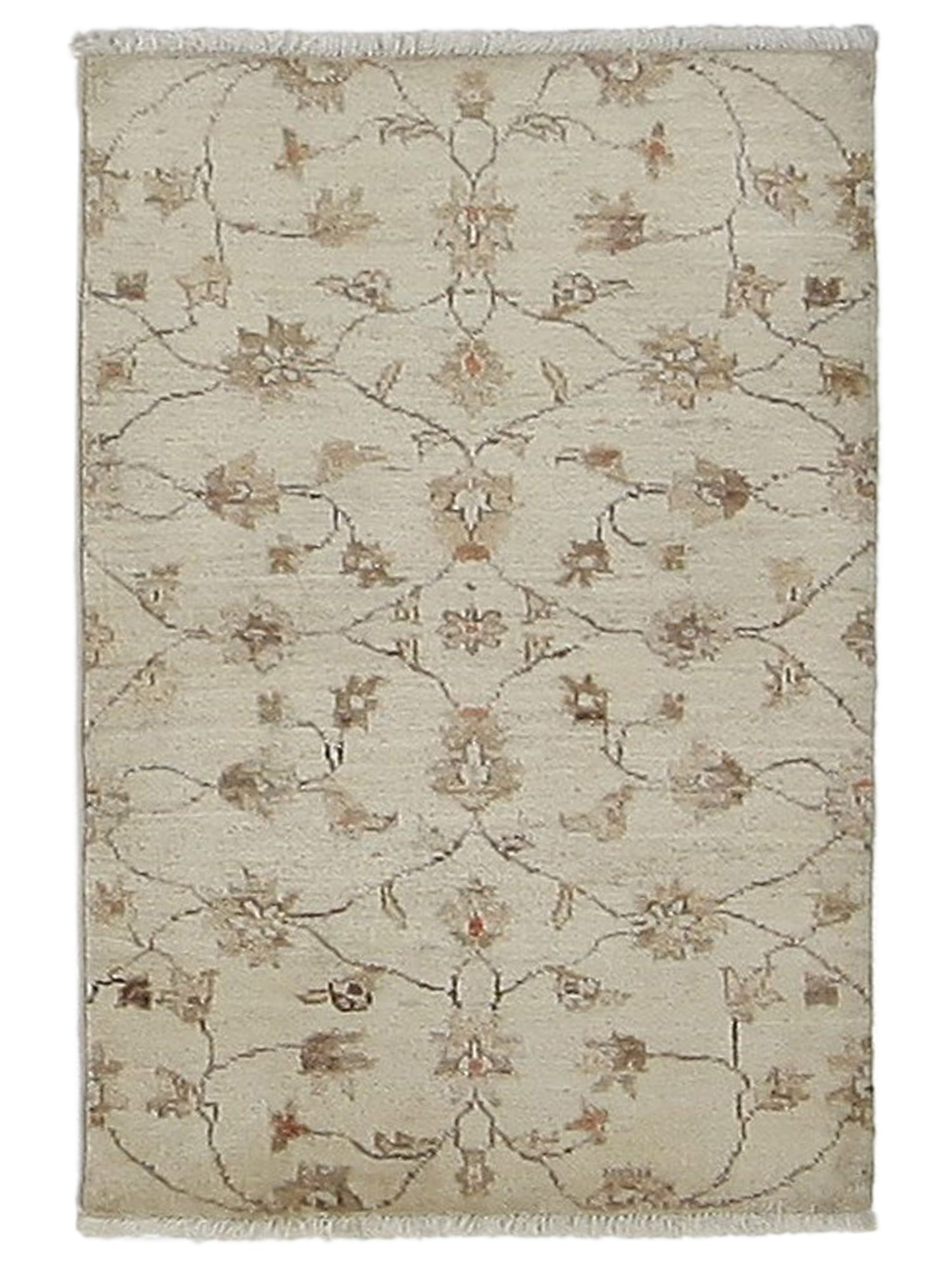 Pacific Ziegler Ivory Ivory Transitional