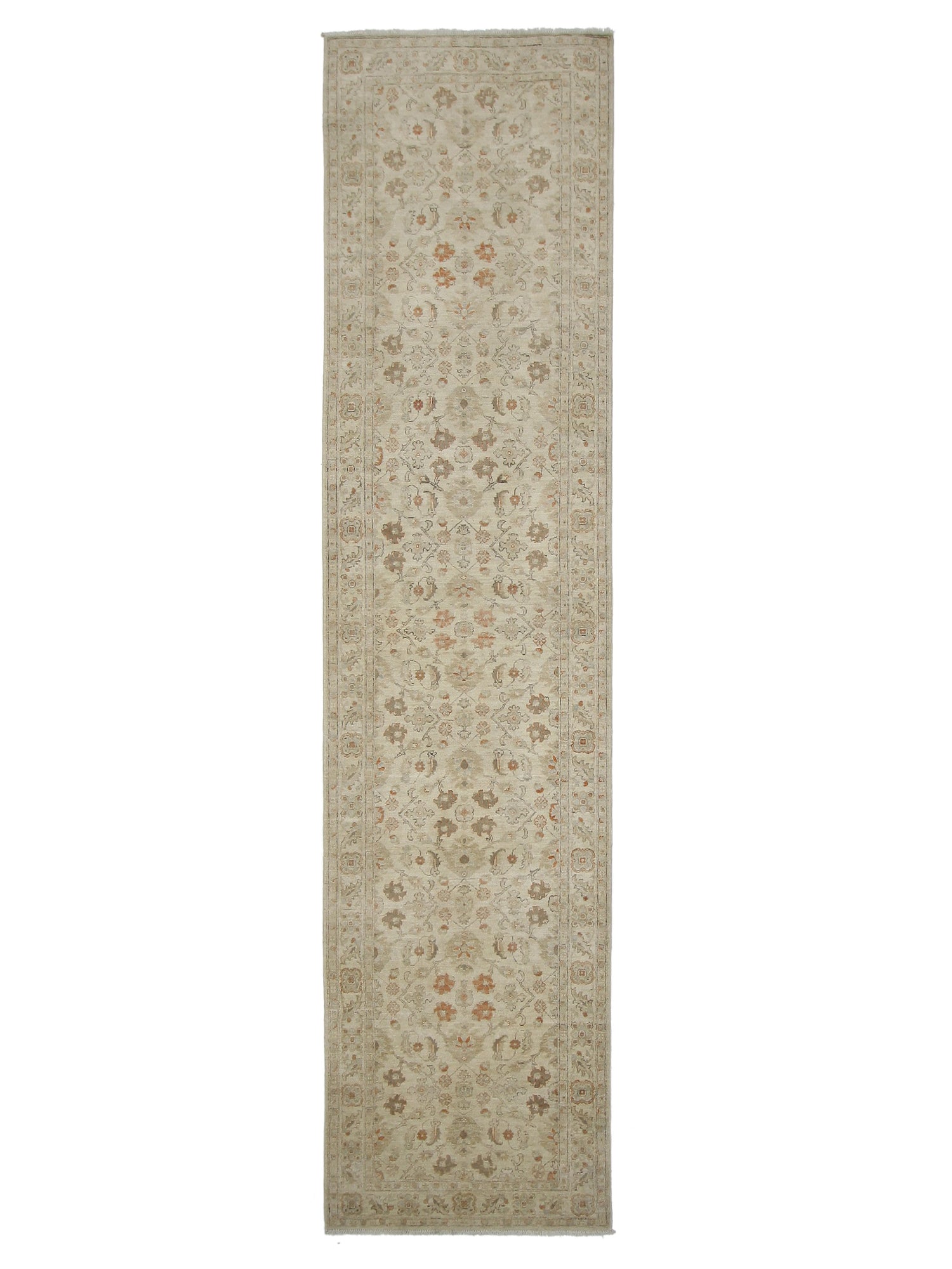 Pacific Ziegler Ivory Ivory Transitional