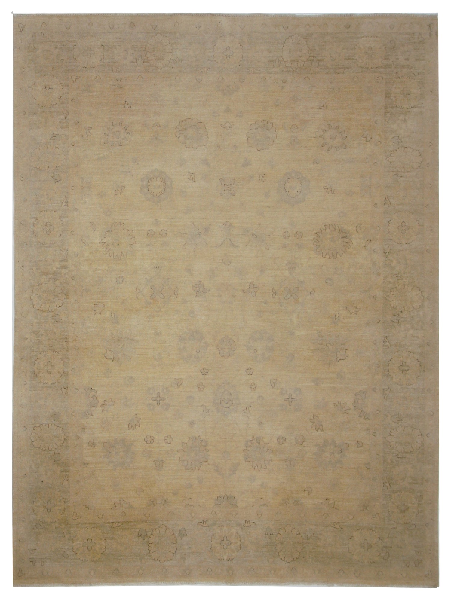 Pacific Ziegler Ivory Ivory Transitional