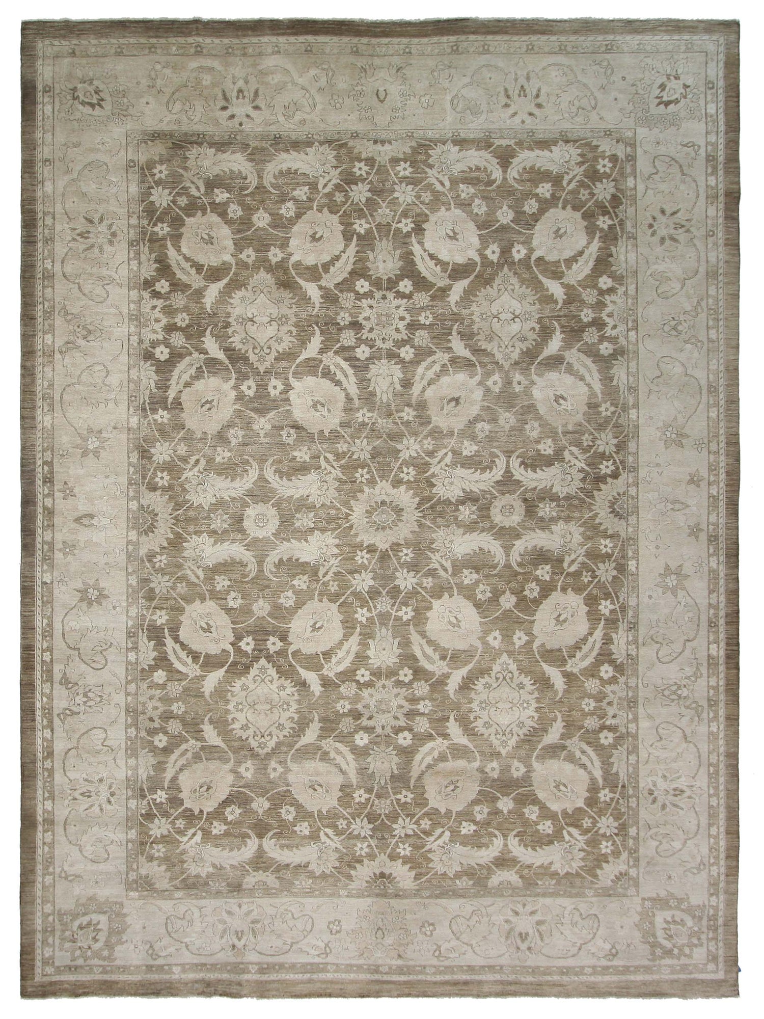 Pacific Ziegler Brown Gold Transitional