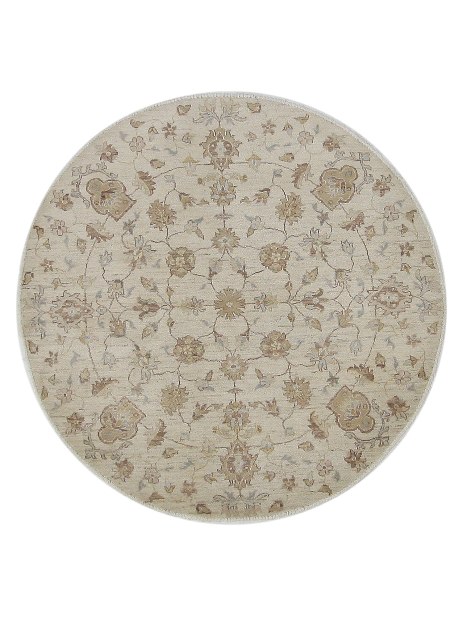Pacific Ziegler Ivory Ivory Transitional