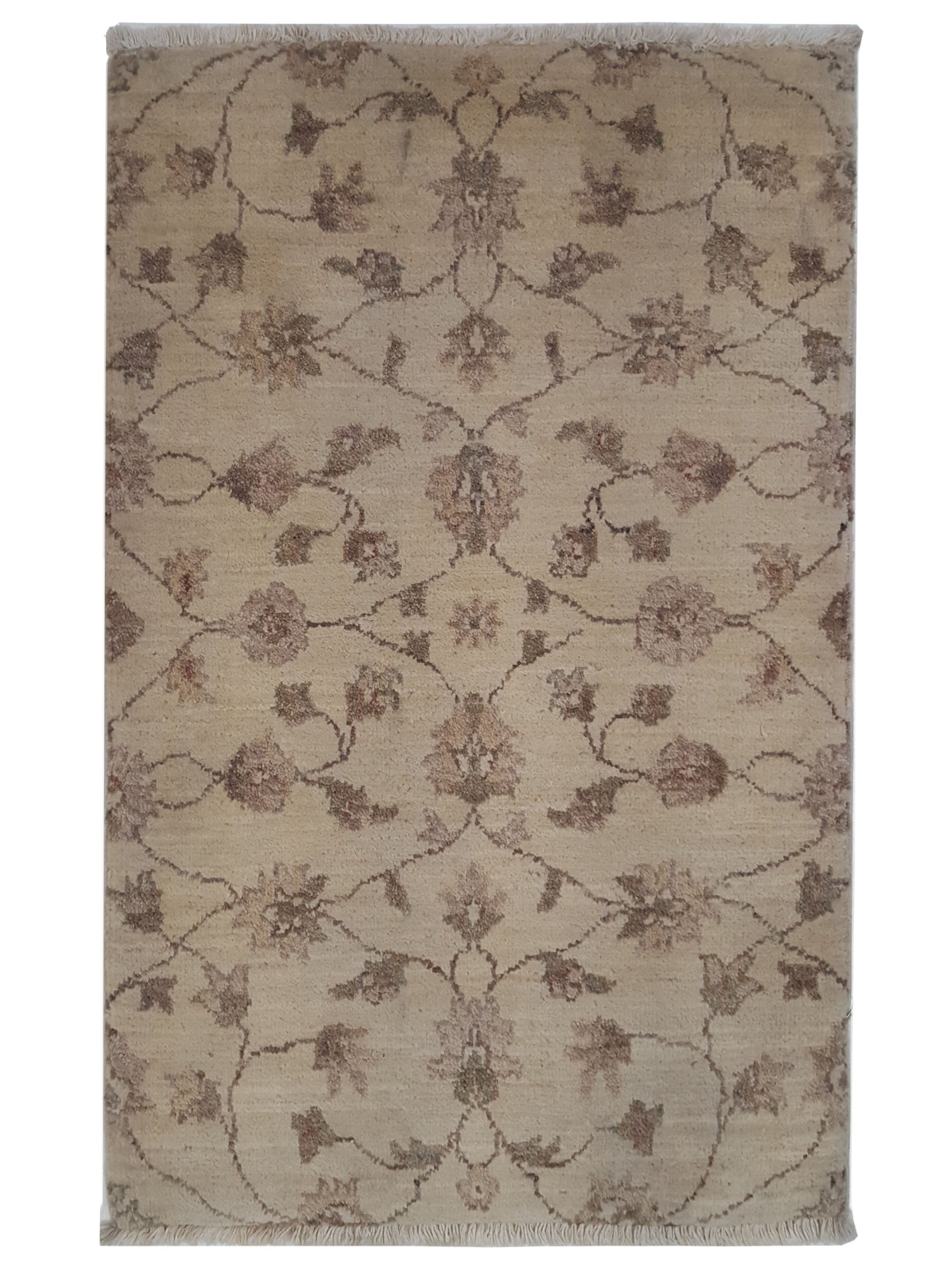 Pacific Ziegler Ivory Ivory Transitional