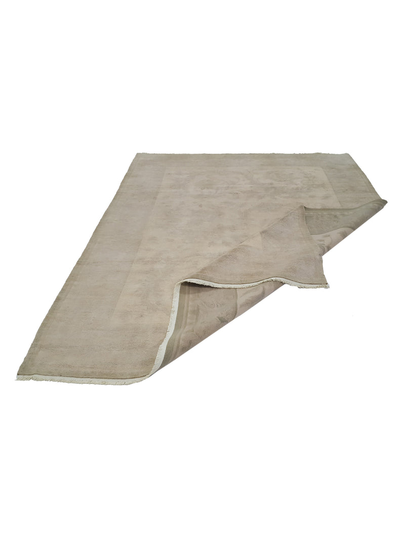 Pacific Nepalese 40644 Beige Beige Transitional Hand Knotted Rug