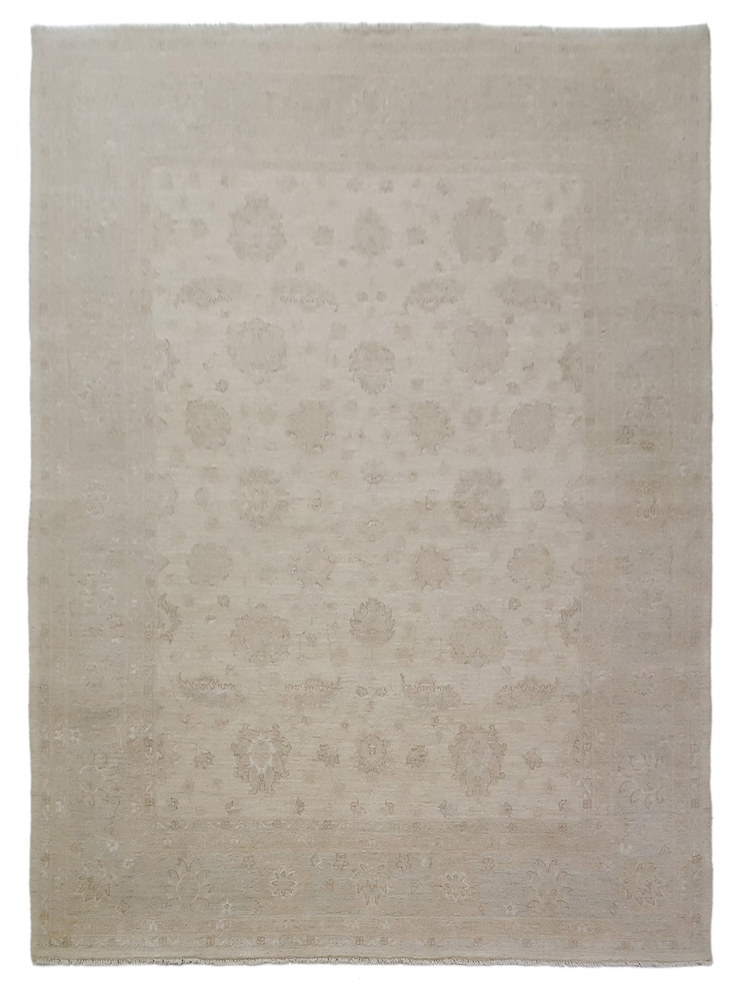 Pacific Ziegler Ivory Lt.Blue Transitional