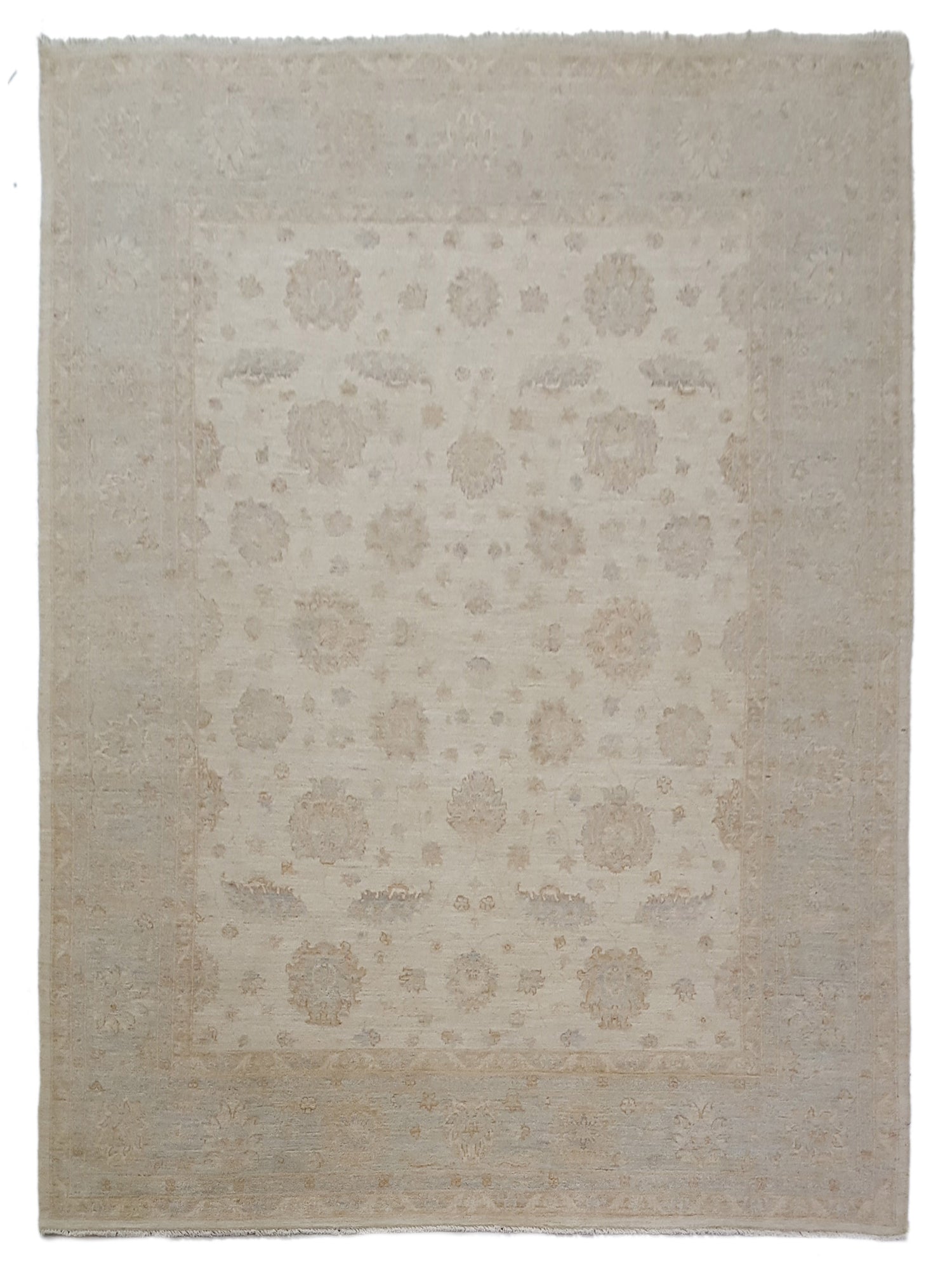 Pacific Ziegler Ivory Lt.Green Transitional