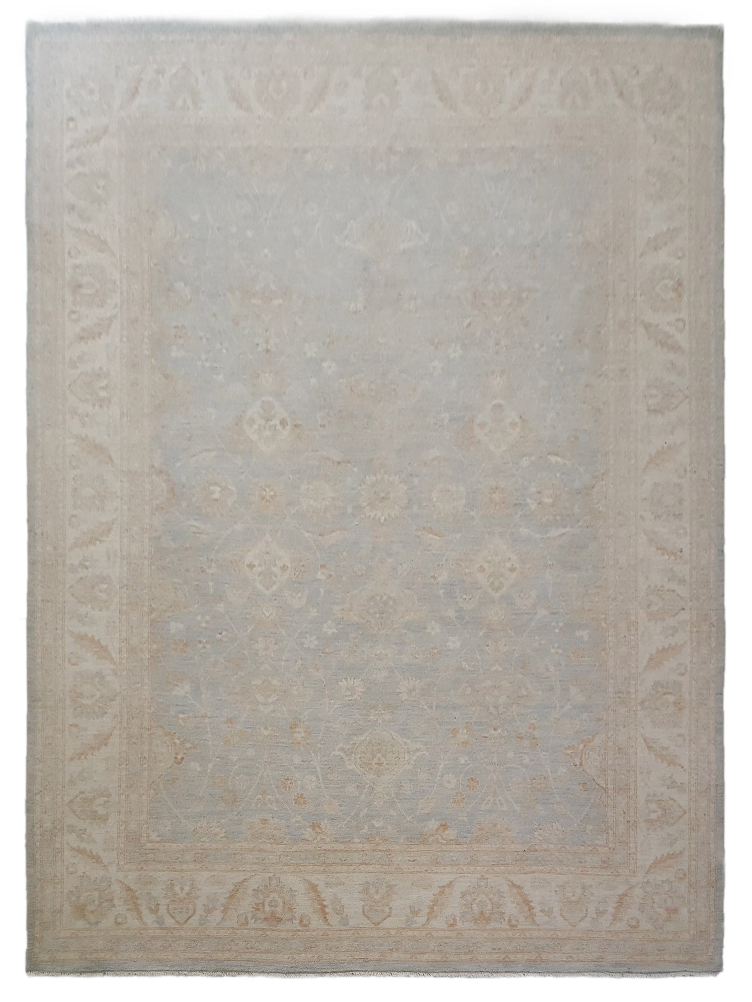 Pacific Ziegler Lt.Blue Ivory Transitional