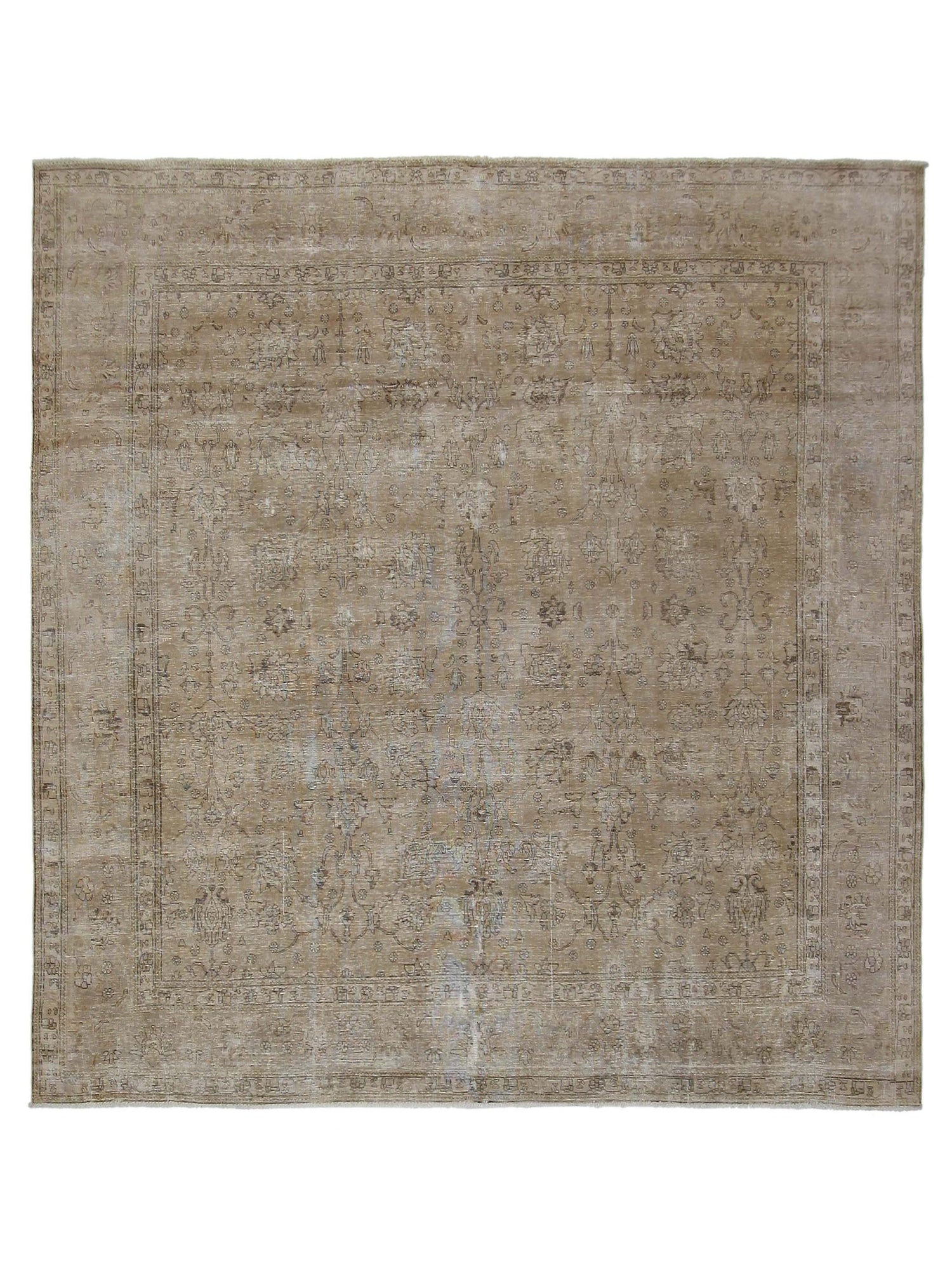 Pacific Vintage Ivory Ivory Vintage