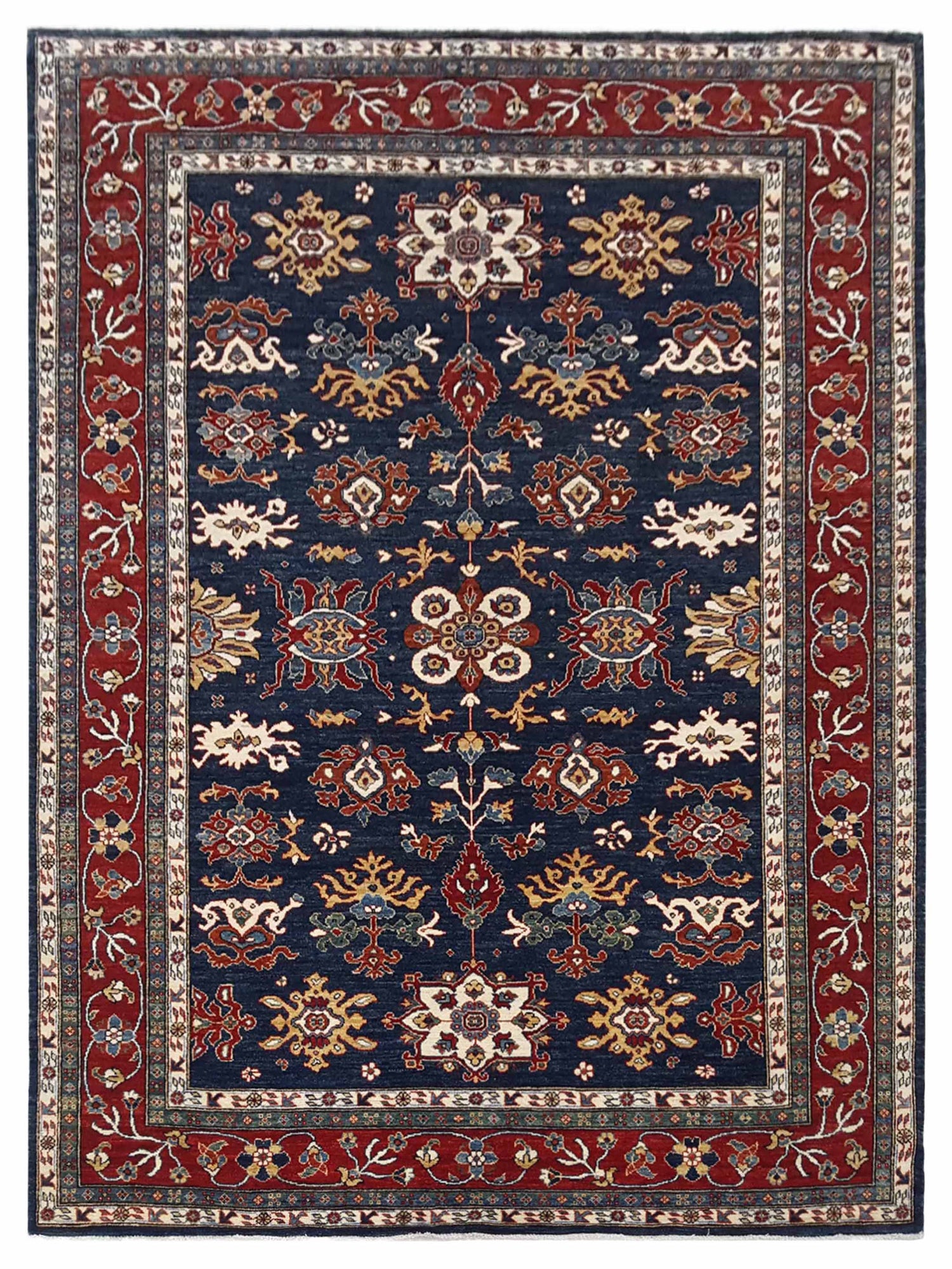 Pacific Ziegler Navy Red Transitional