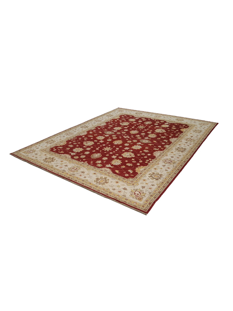 Pacific Ziegler 41884 Red Ivory Transitional Hand Knotted Rug