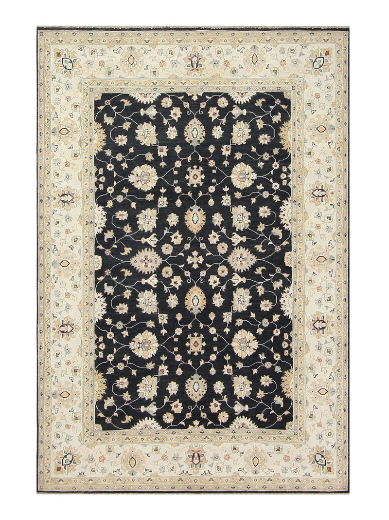 Pacific Ziegler Black Ivory Transitional