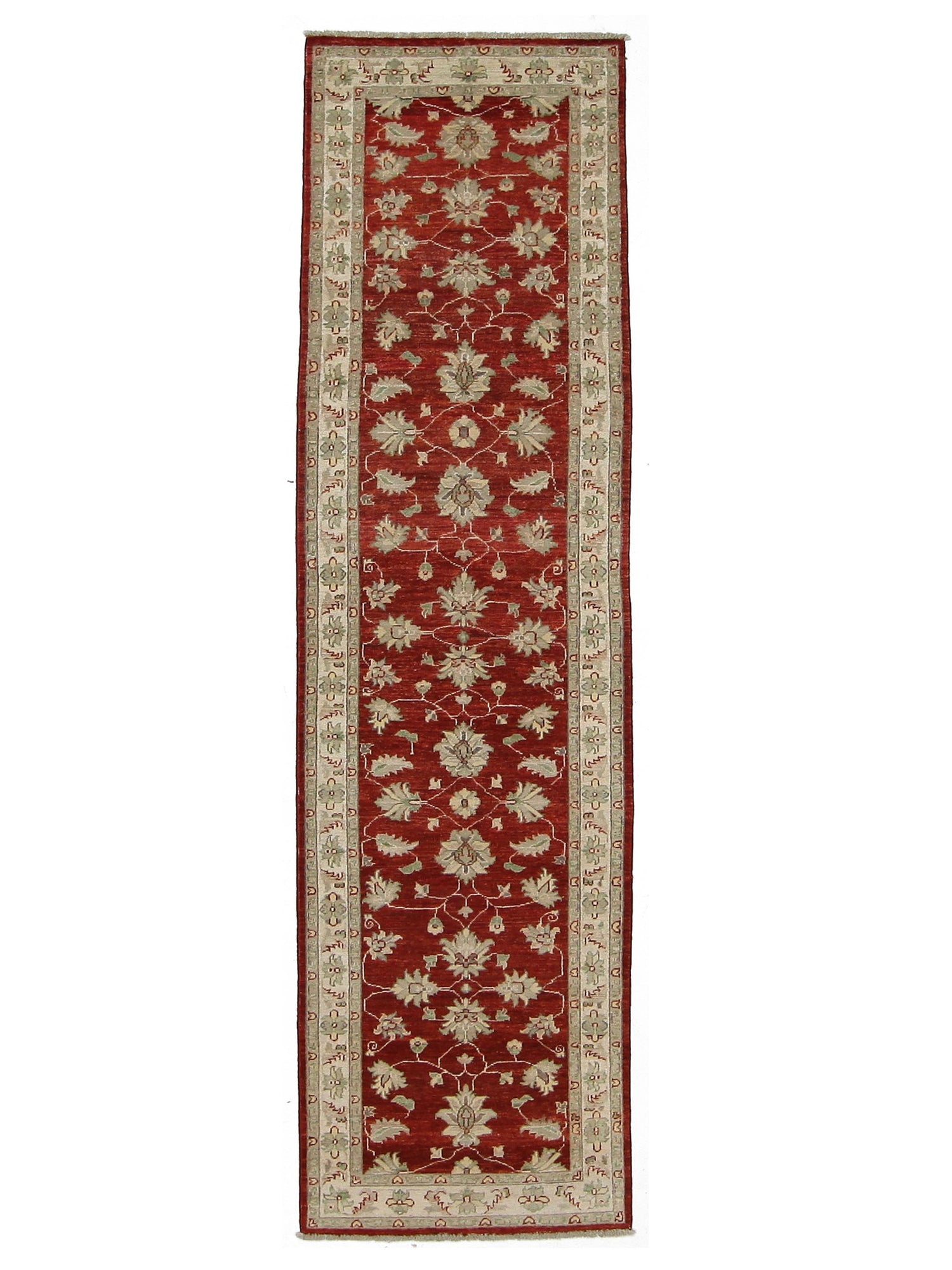 Pacific Ziegler Rust Ivory Transitional