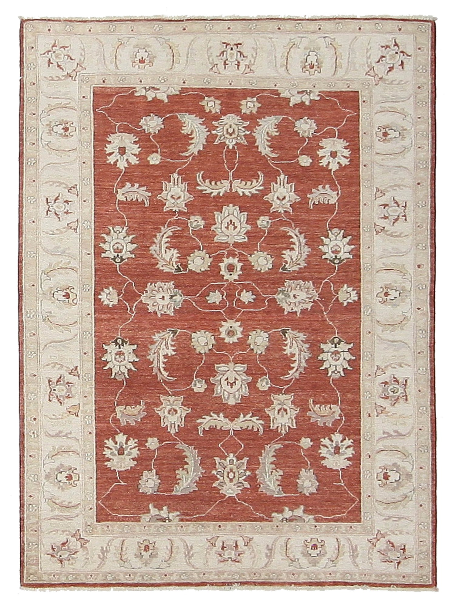 Pacific Ziegler Red Ivory Transitional
