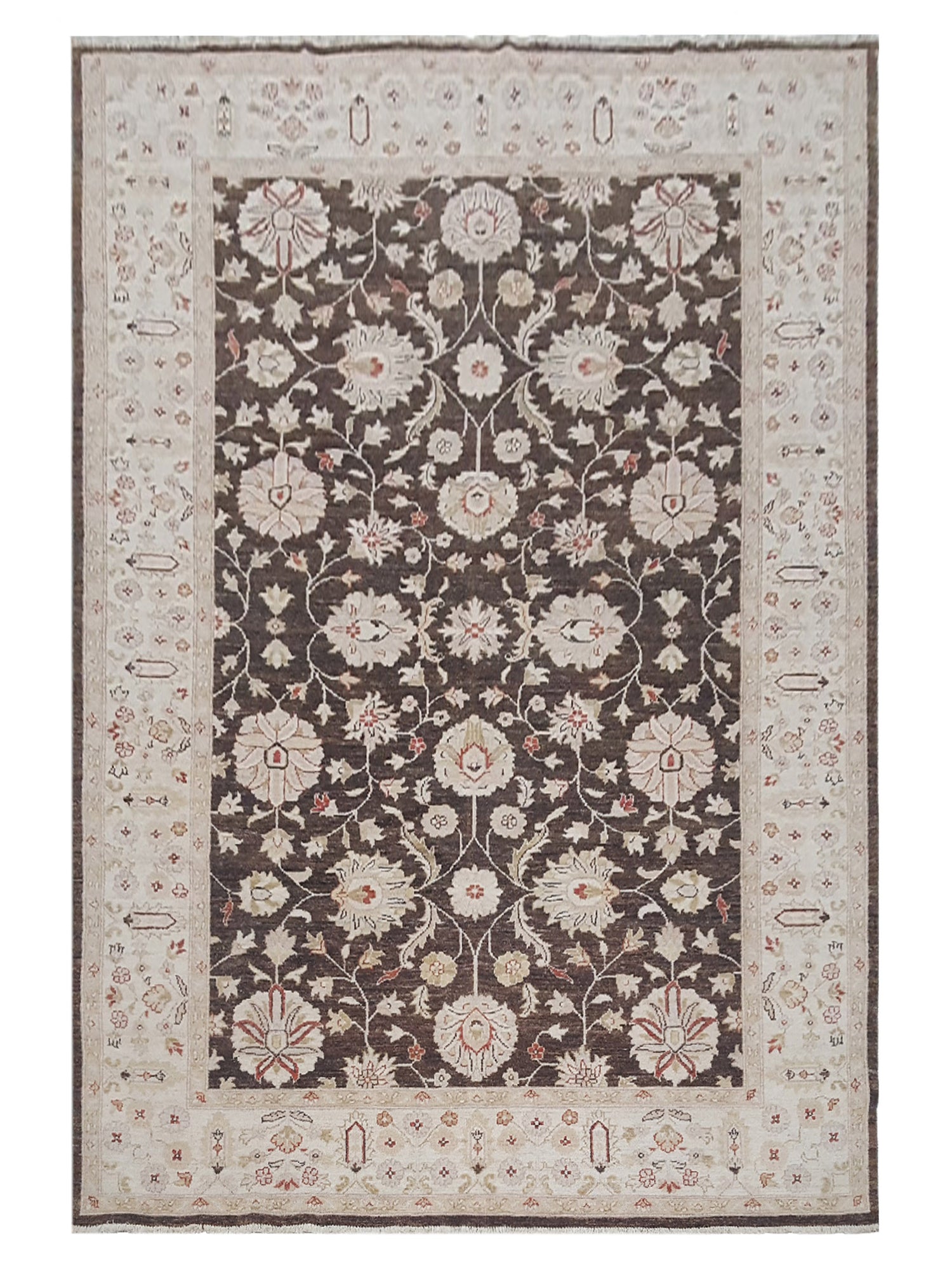 Pacific Ziegler Brown Ivory Transitional