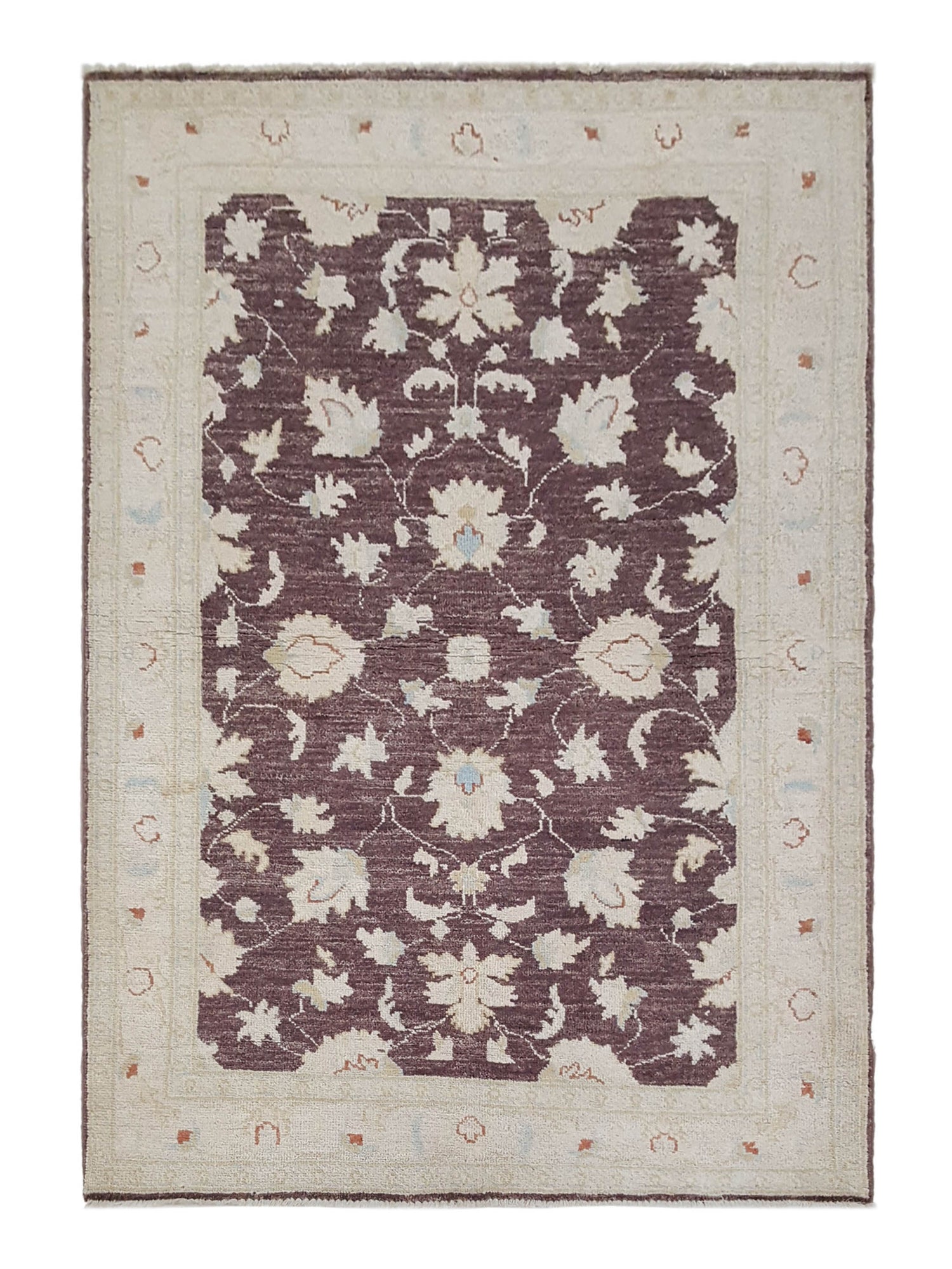 Pacific Ziegler Brown Ivory Transitional