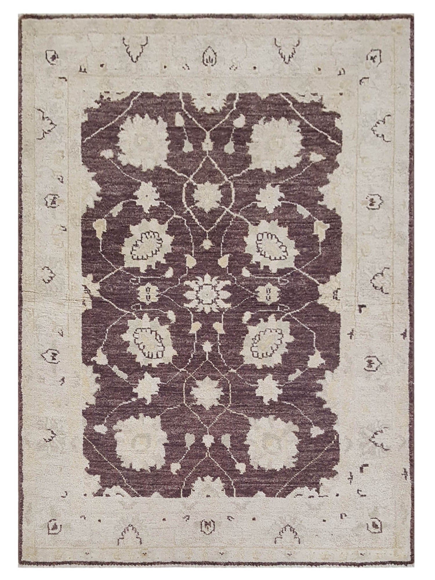 Pacific Ziegler Brown Ivory Transitional