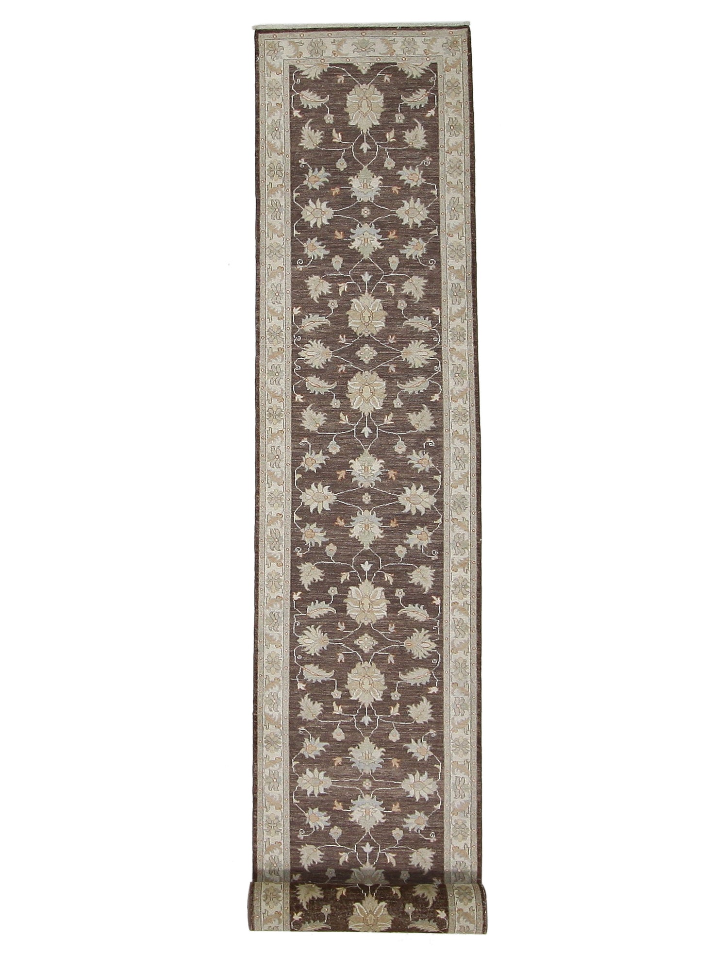 Pacific Ziegler Brown Ivory Transitional