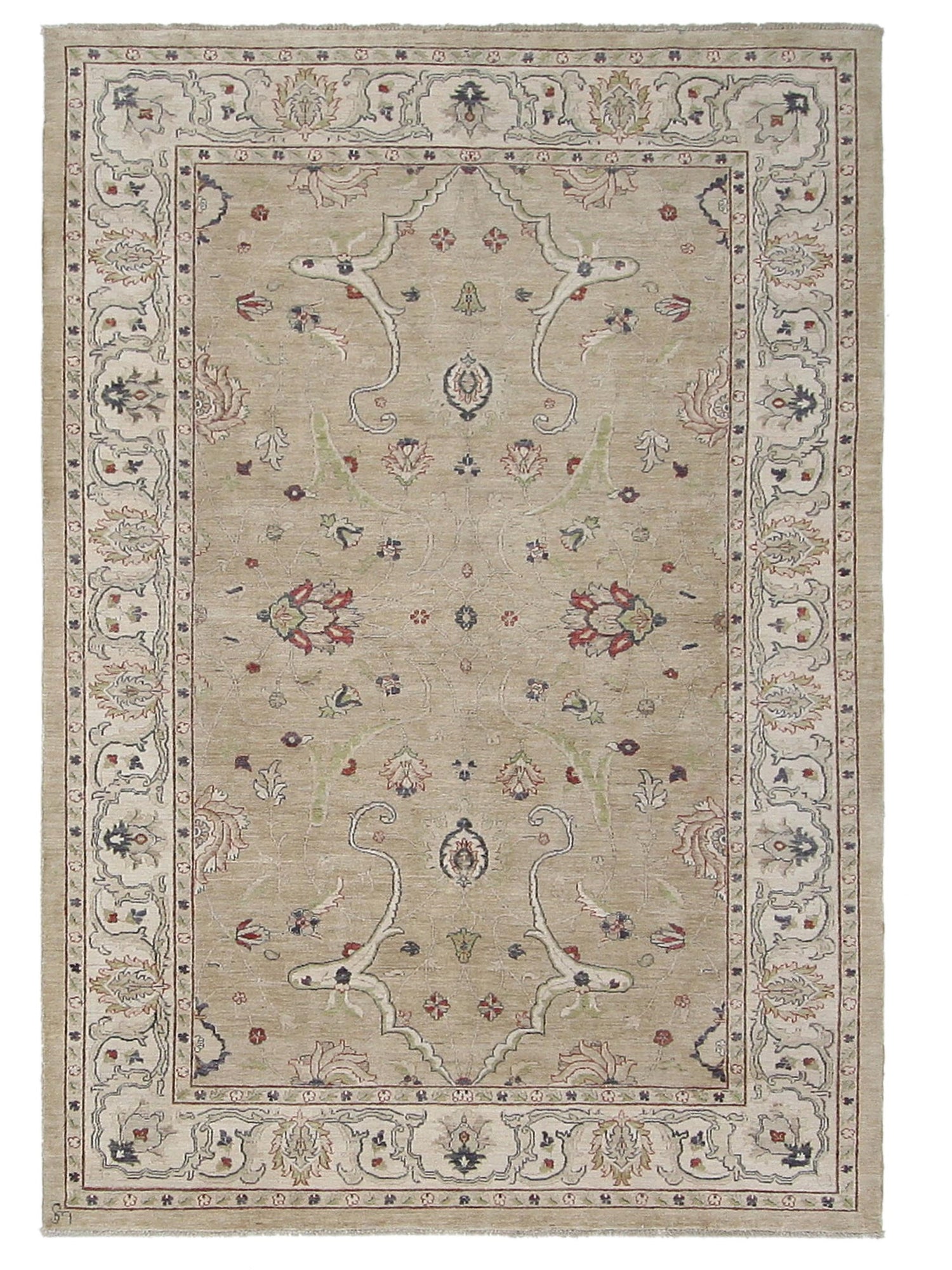 Pacific Ziegler Beige Ivory Transitional