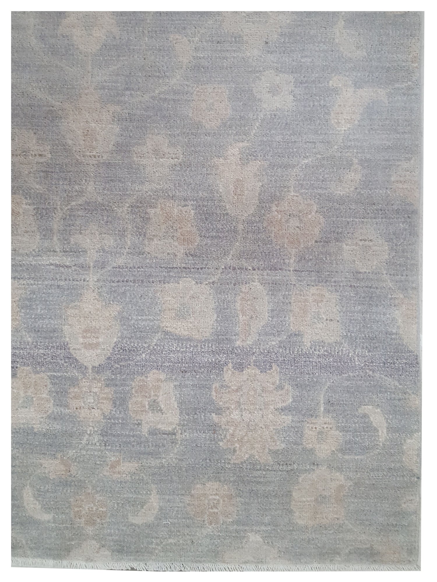 Pacific Ziegler Grey Grey Transitional