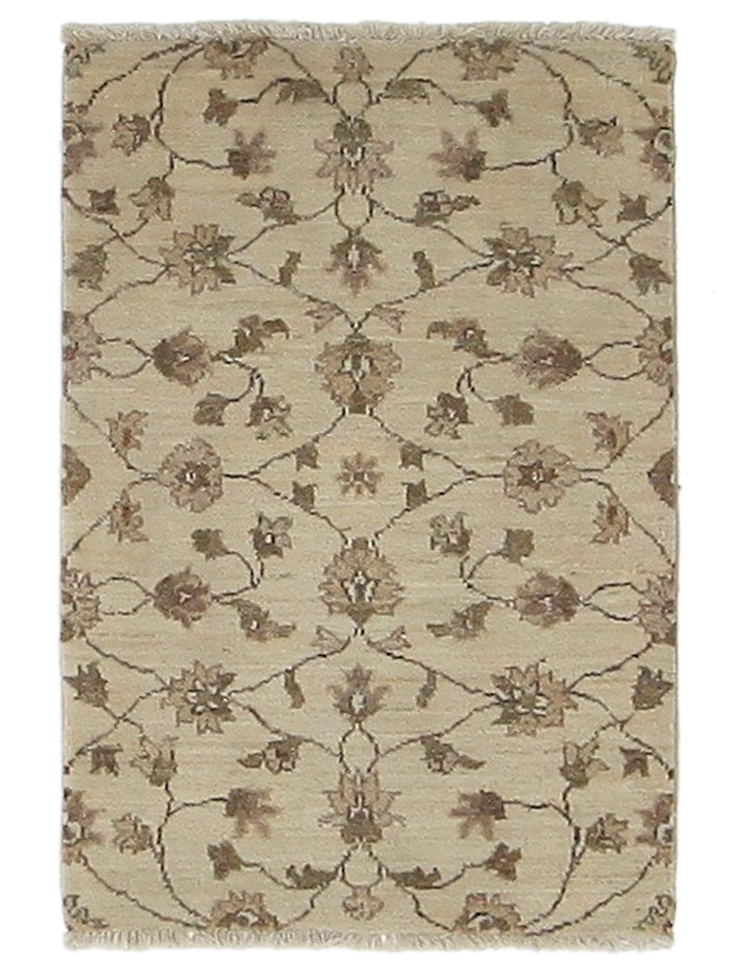 Pacific Ziegler Ivory Ivory Transitional