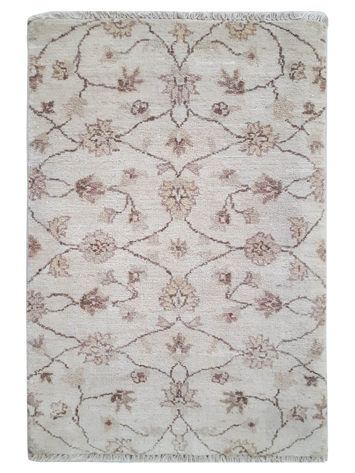 Pacific Ziegler Ivory Ivory Transitional